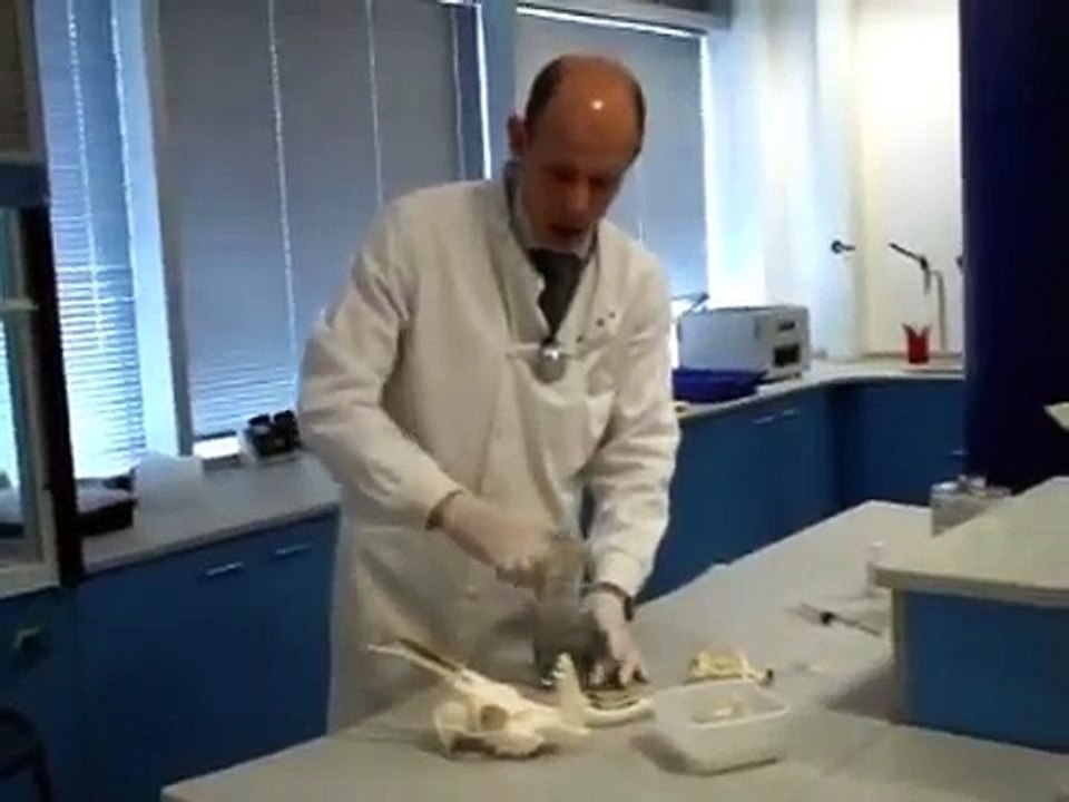 Setting Objects in Resin
