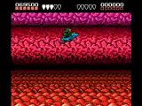 Battletoads Level 3: Turbo Tunnel (NES)