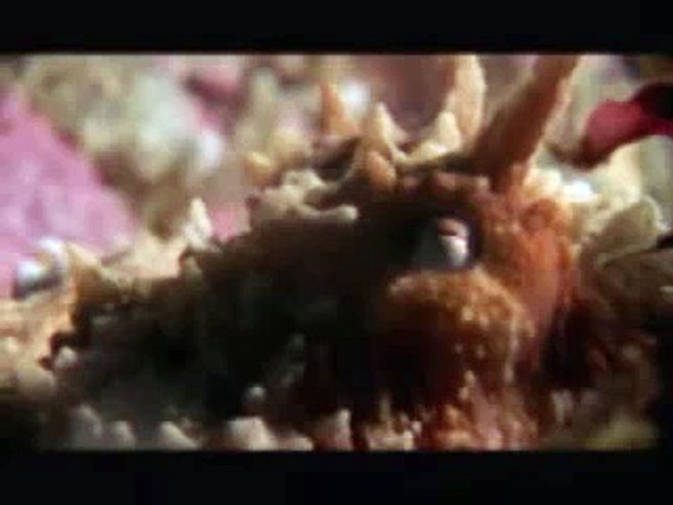 Yum! a shark eating octopus