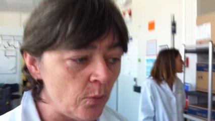 Préparation des produits sanguins