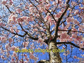 Tim Maia-Quando o inverno chegar...