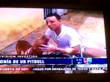 Reportaje de Pitbulls noticias Univision 9/Agosto/2011, No a la ley 158 Puerto Rico