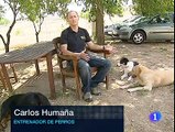 Centro de Adiestramiento Canino 5 Huesos Expertos en Comportamiento Canino en TV
