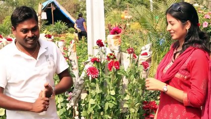 Murthy Gadi Prema Kadha Telugu Short Film-Amalapuram Productions
