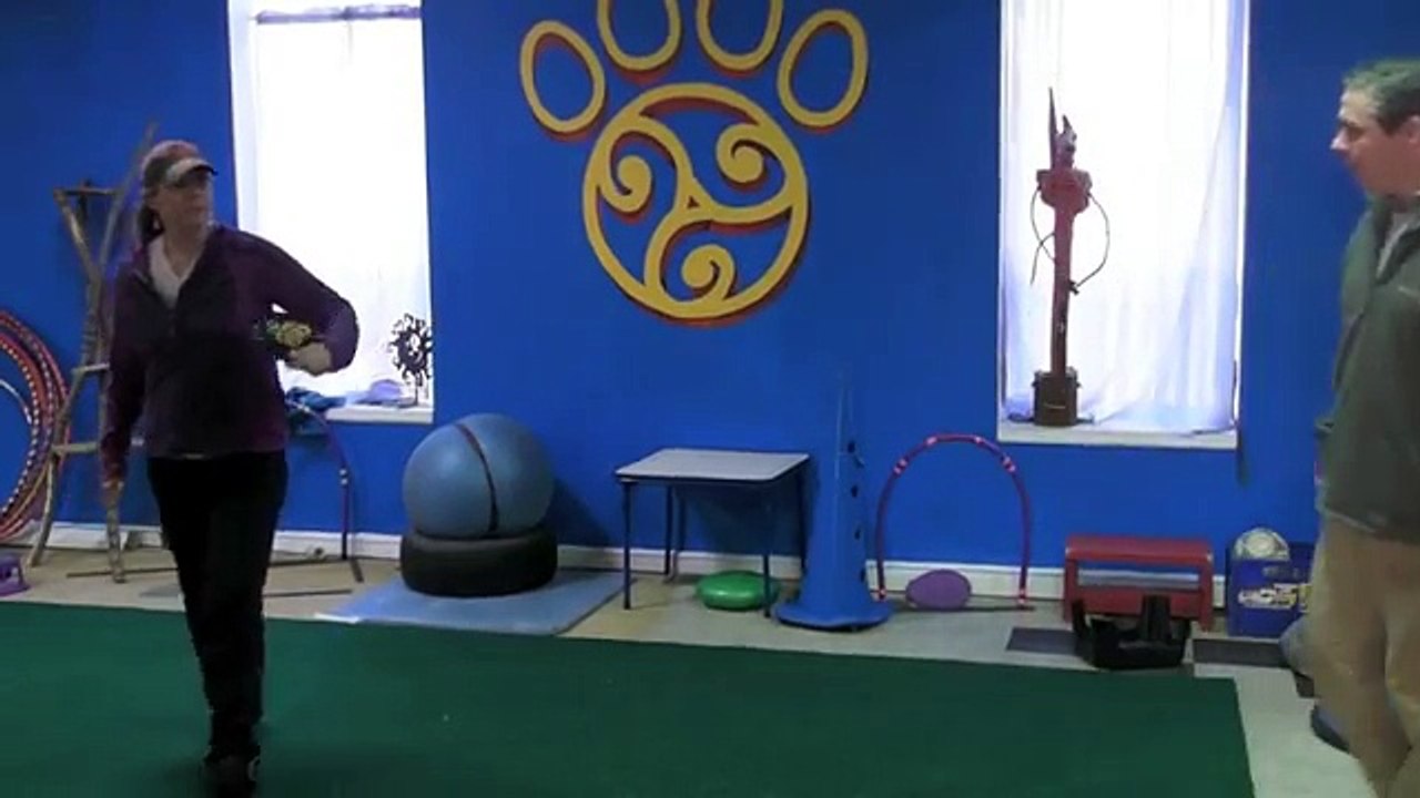 How to Throw an Airbounce