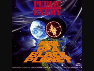 05 Welcome to the Terrordome - Public Enemy (Fear of a Black Planet)