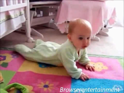 Videos Baby and Dog Funny Cute Dogs And Adorable Babies Best Babies and Animals Compilation