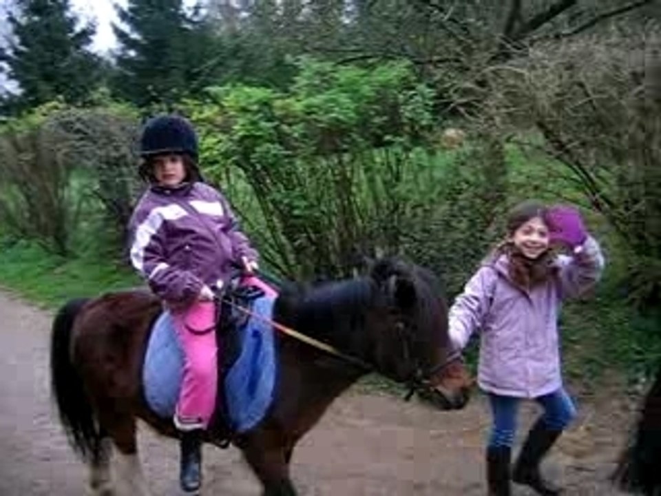 balade poney1