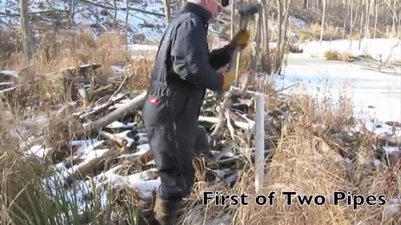 Beaver Dam Exploding