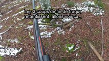 Chasse au sanglier en battue dans les Vosges