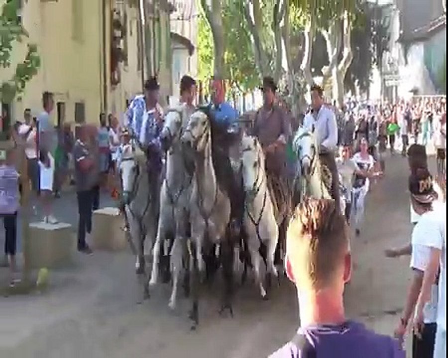 Fete Votive de Marsillargues 2014