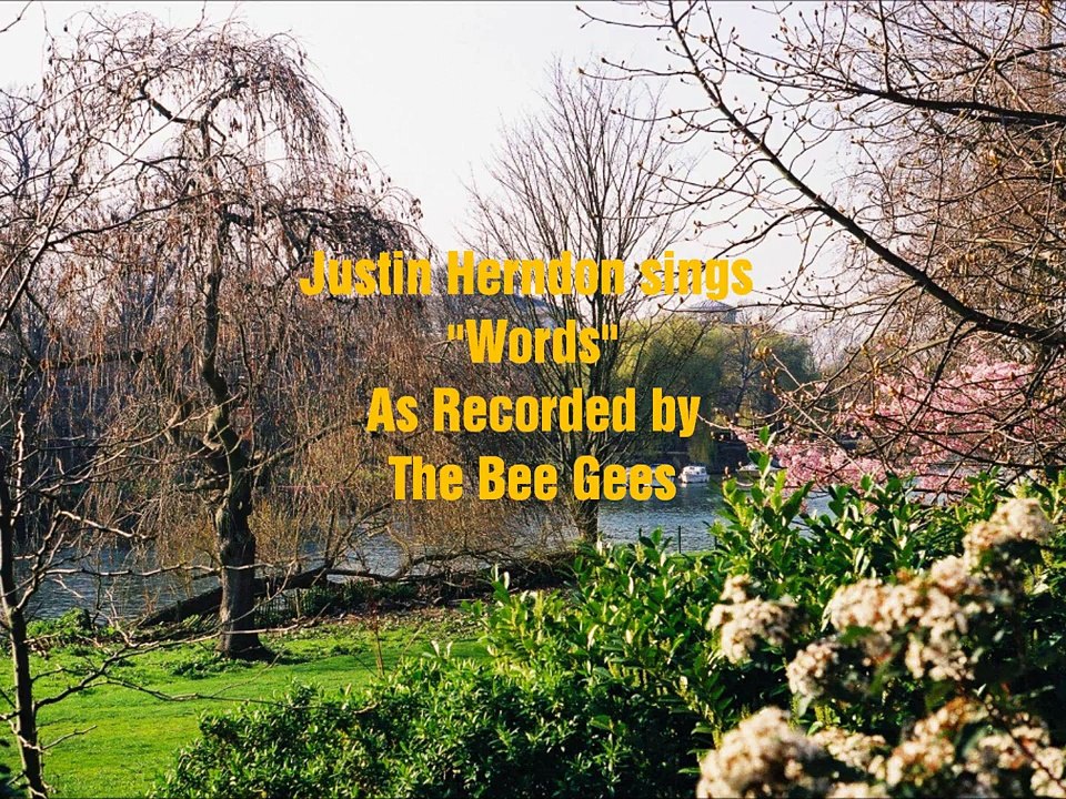 Words (Bee Gees Cover)