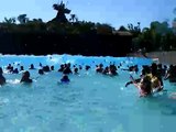 Disney Typhoon Lagoon Wave