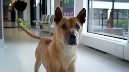 how a Dad take care of his child? must watch