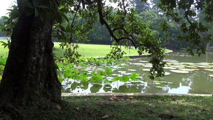 Indonesie - Natuur en Cultuur