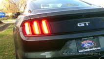 2015 Ford Mustang GT - Quick Walkaround, Start-Up, Idle, Revs. (Court Street Ford)