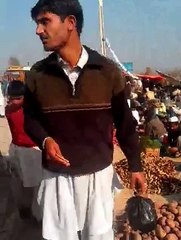 Da kali mela, alogan pa athya rupay kilo, pashto tapay tang takor, da kali mazigar, armani tapay, pashto songs