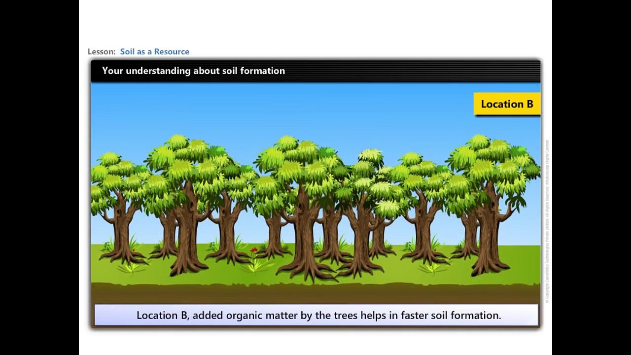 Resource and Development Soil as a Resource Geography Class 10 CBSE NCERT