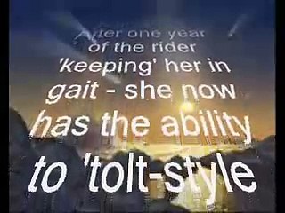 Natural racking gaits in horses