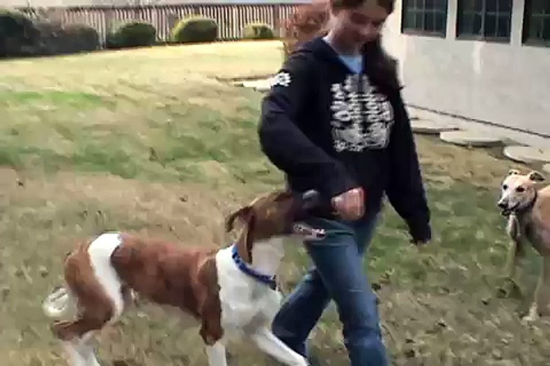 Gil Playing