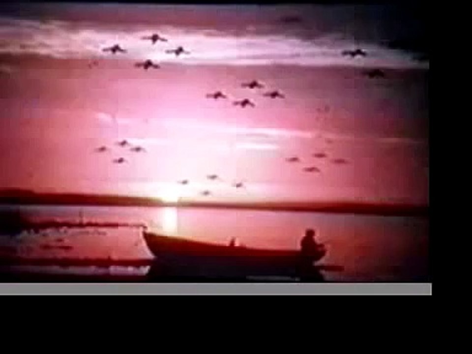 Tears From The Compound Eye (Lachrymatory Edit)