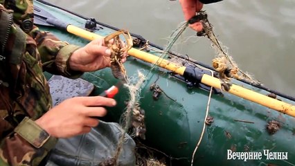 "Китайцы" губят челнинских раков (газета "Вечерние Челны")