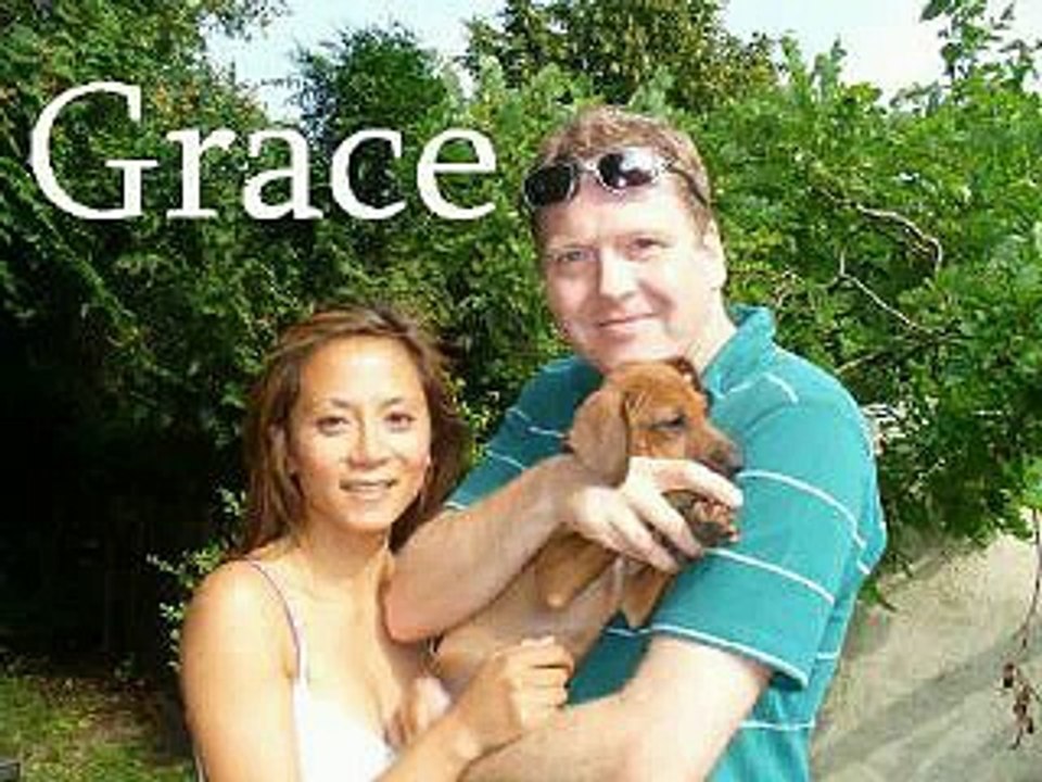 A Rhodesian Ridgeback Reunion