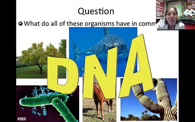 Introduction to Biotechnology