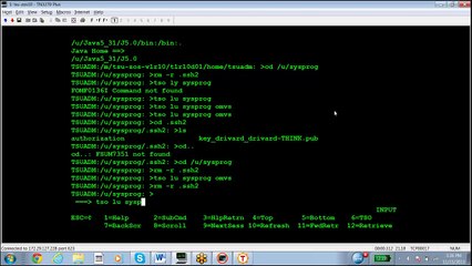 A Mainframe z-OS Demo: How Secure Shell Can Bypass RACF Security Controls