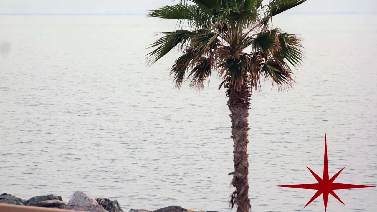 Exclusive, 1, 2 and 3 Bedrooms Unique Apartments, Palm Jumeirah