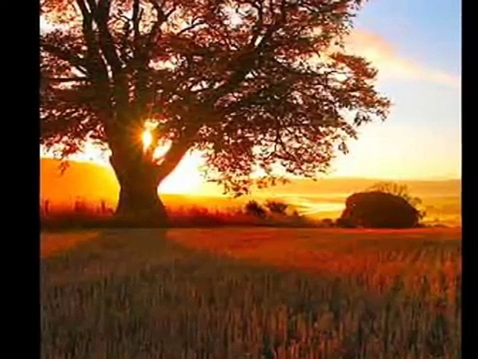 2CELLOS- Fields Of Gold