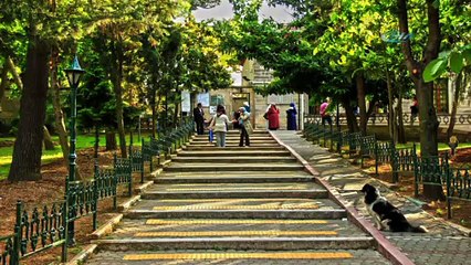 Burası İstanbul! Yeşil ve maviden İstanbul’a açılan pencere