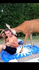 Download Video: This deer needs a hug