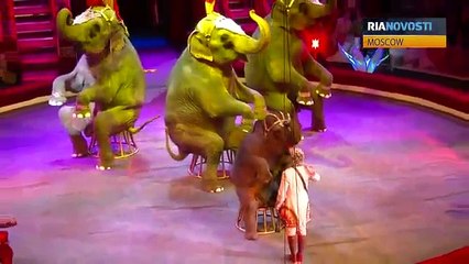 Secrets to training tame elephants