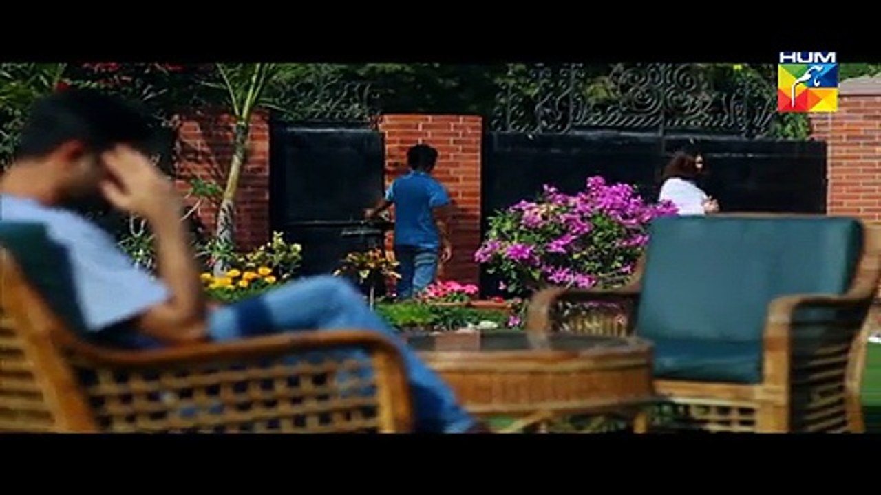 Dil Ka Kya Rung Karun Episode 15 HUM TV Drama 12 June 2015 -