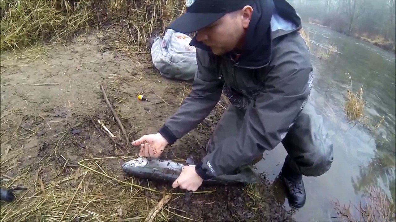 "How-to" | The Best Way to Bleed Out a Salmon or Steelhead