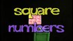 Square Numbers tutorial puppetry homeschool Montessori manipulative K-12 curriculum