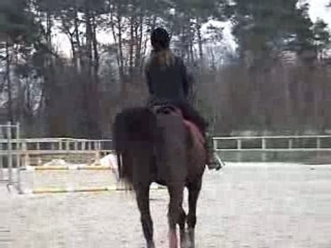 Roi elie en saut ac moi