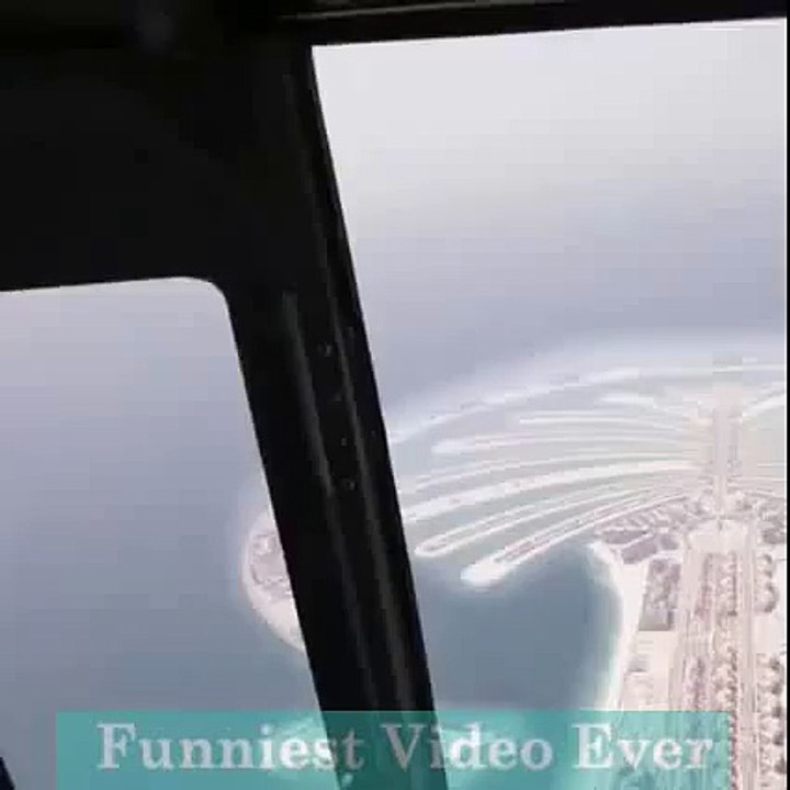 Dubai tree project