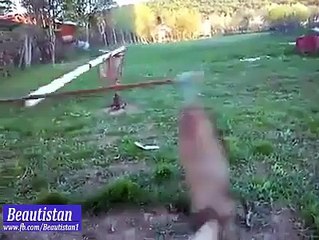 اس نے کتے کو سہی کام پر لگا رکھا ہے