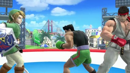 Ryu leaked in Super Smash Bors. Wii U !