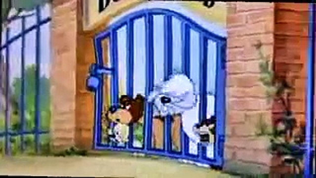 Tom And Jerry Cartoon