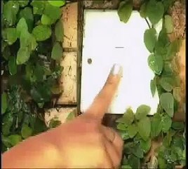 Boss Plastic Furniture TVC "Man Chaha Araam"