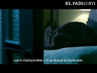 Nunca es tarde para hacerte valer. violencia género