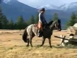 Echo Montana AQHA mare for sale