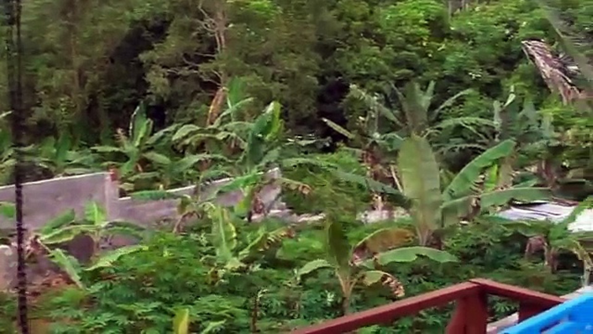 Monsoon Arrival - Sri Lanka [Arrivée de la mousson - Sri Lanka]