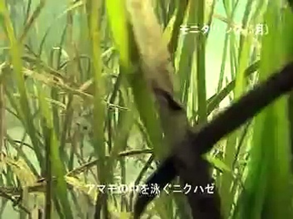 モニタリング2007/03