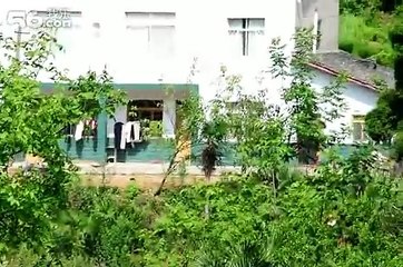 Đi bẫy chim họa mi ngày đầu xuân