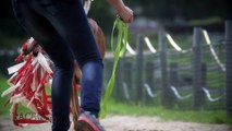 RACE THE WIND 22 # Greyhound Track (Offenbach / Germany) Sighthound Dog Galgo Levrier Windhund