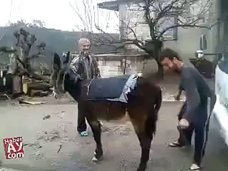VID-20150601-WA0037.mp4